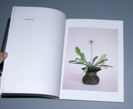 Nurture Studies – Diana Scherer