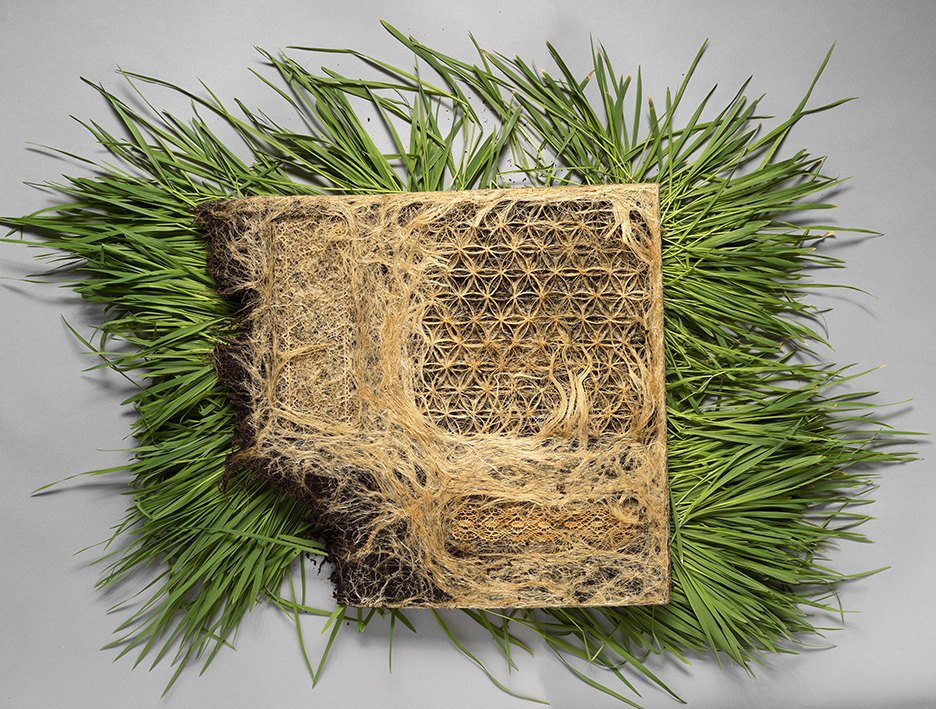 Nurture Studies by Diana Scherer - IGNANT